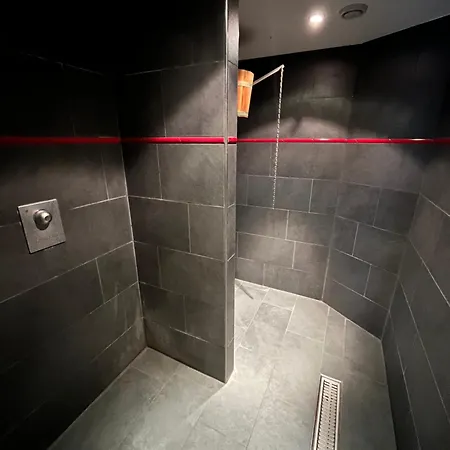 Hotel Alfa Superieur - Leukerbad-therme 3*